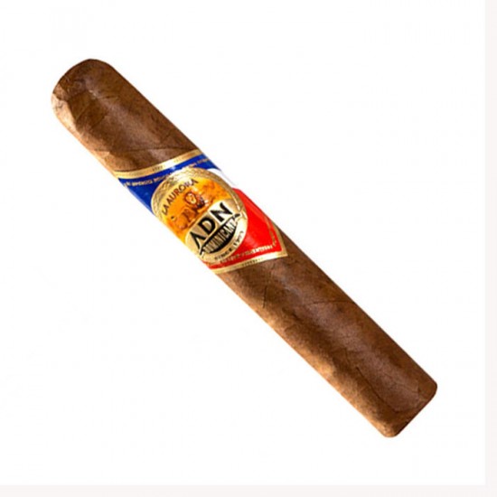 la aurora adn dominicano robusto